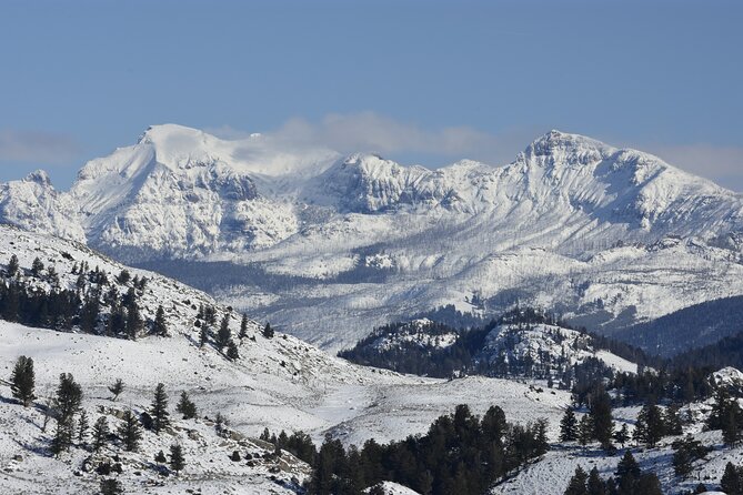 Beartooth Highway Self-Guided Driving Audio Tour Review - Offline Accessibility