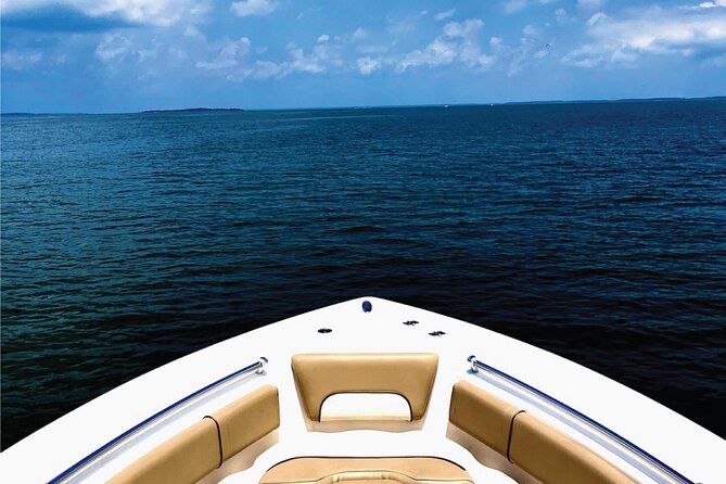 Beaufort Private Dolphin Excursions Review - Frequently Asked Questions