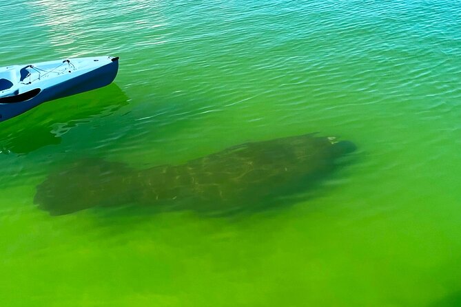 Beginner One Hour Guided Kayaking and SUP Activity - Activity Location