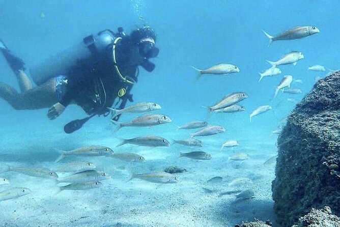 Beginner Scuba Diving Experience With Videos in West Palm Beach - Underwater Exploration and Marine Life
