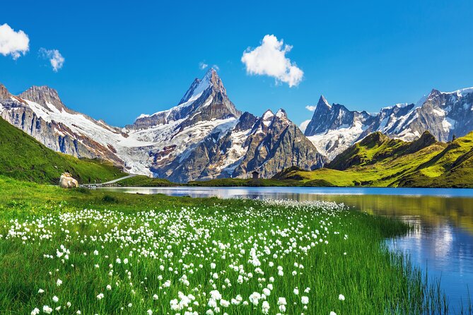 Bernina Express & St. Moritz Private Tour From Milan by Car - Dining in St. Moritz