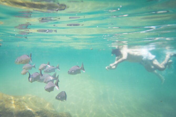 Best in Class: Private Snorkeling Xpedition - Experience Highlights