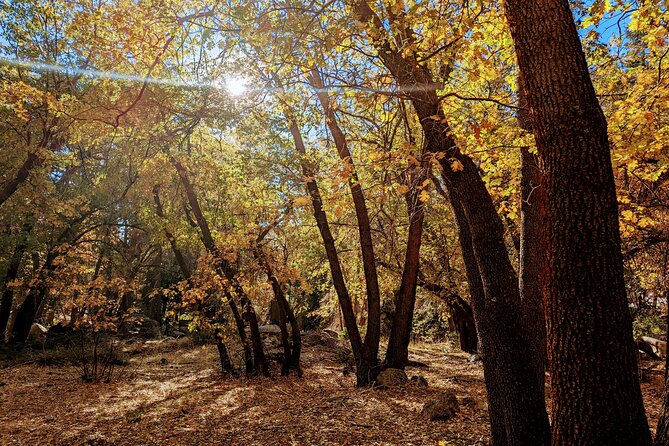 Big Bear Fall Colors Hiking Tour in Southern California - Booking Information