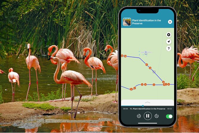 Big Cypress National Preserve Audio Tour Review - Accessibility and Support