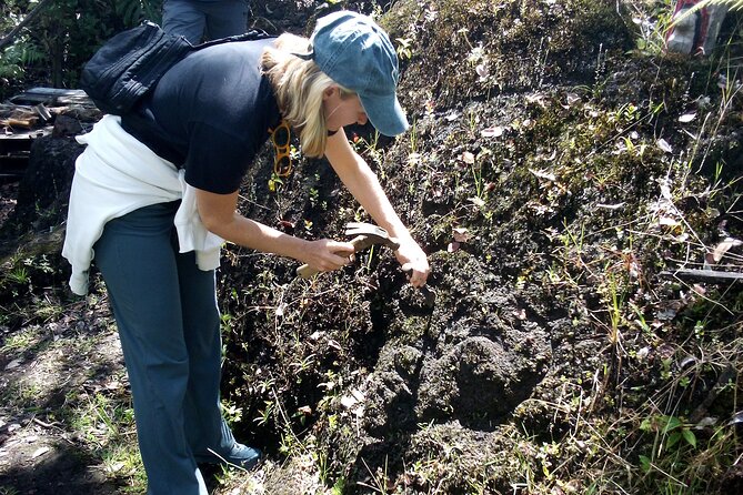 Big Island Jungle Tour With Banana and Guava Green Tea - Highlights and Traveler Reviews