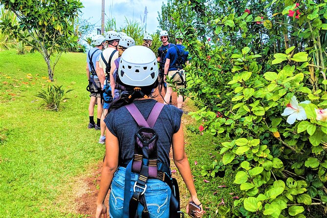 Big Island Zipline Over Kolekole Falls W/ Hilo Cruise Ship Pickup - Health and Safety Guidelines