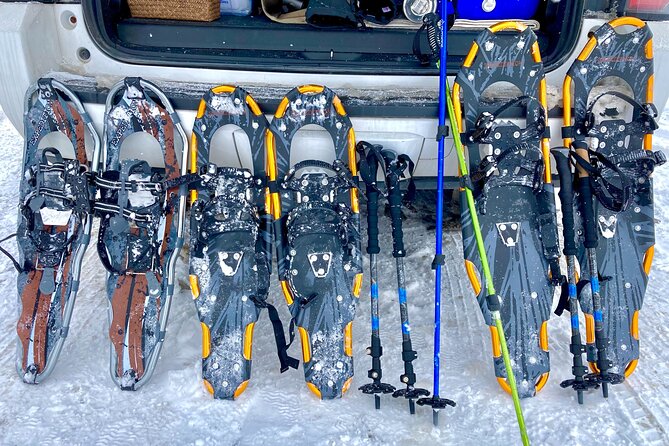 Big Sky Snowshoe & Wildlife Adventure With Lunch - Private Tour - Wildlife Viewing Experience