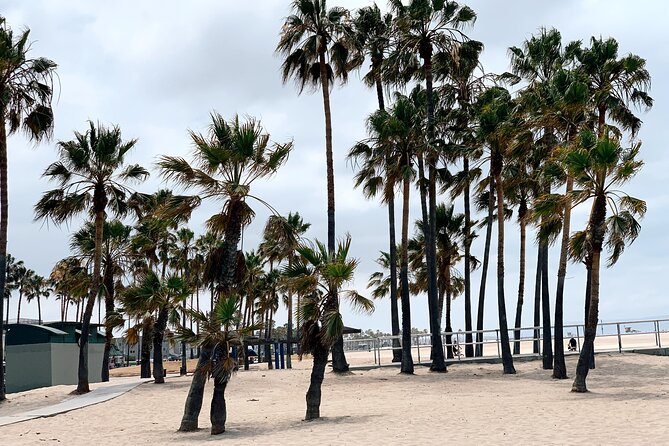Bike Adventure Tour in Beverly Hills, Santa Monica and Venice - Booking Information