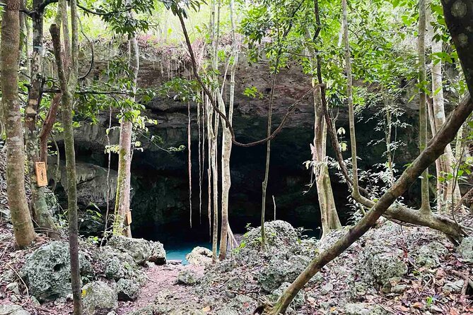 Bike and Buggy Excursion to Cenote Maya With Atypical Meal - Unique Dining Experience