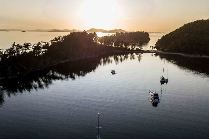 Bioluminescence and Sunset Kayak Tour Review - Meeting the Outdoor Odysseys Team