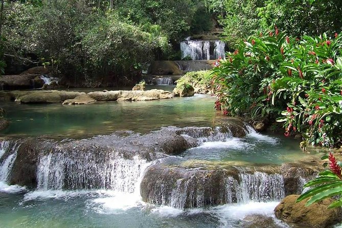 Black River Safari & YS Falls Tour From Runaway Bay - Exploring the Black River