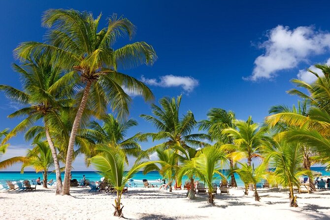 Blue Beach Punta Cana - Round Trip Shuttle - Punta Cana Airport - Frequently Asked Questions