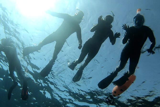 Blue Lagoon & Caves Comino Snorkeling Tour, Boat & Guide - Exploring the Blue Lagoon