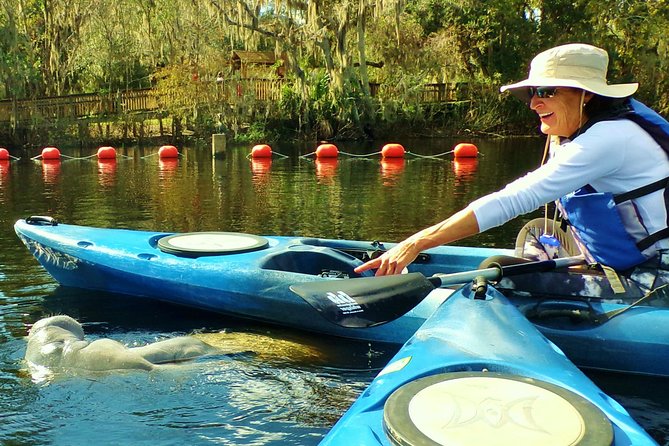 Blue Springs Manatee Tours & Wildlife Adventure Review - Included Amenities
