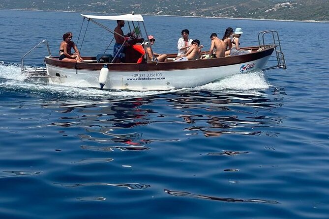 Boat Experience in the Crystal Clear Waters of Cilento - Traveler Testimonials