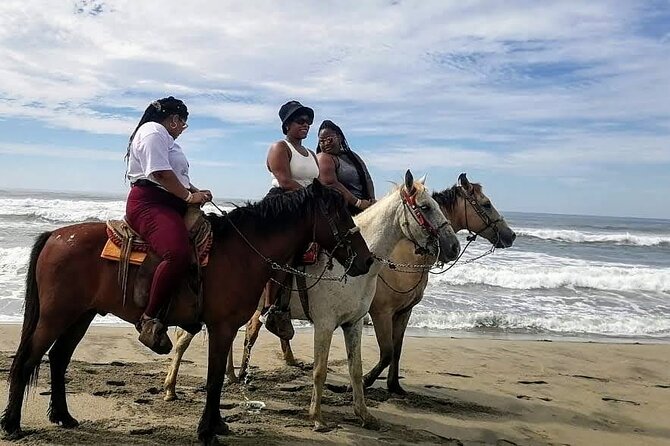 Boat Ride-Gentle Beach Beach Horseback Ride+Lunch-Crocs-Turtles - Crocodile and Turtle Farm Visit