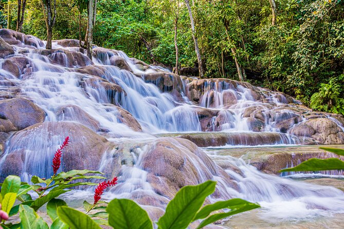 Bob Marley Mausoleum & Dunn's River Falls Private Tour - Participant Requirements
