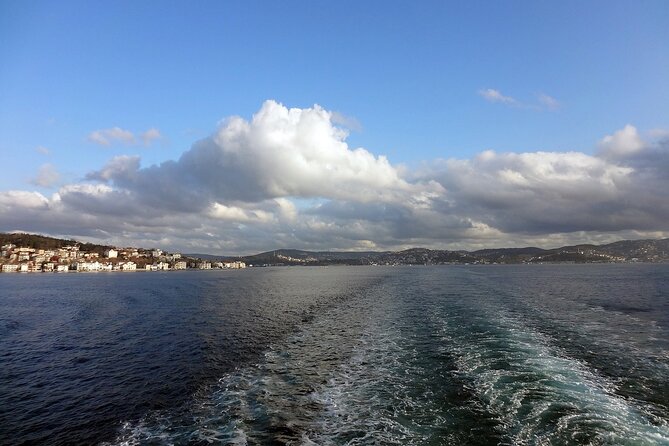 Bosphorus Dinner Cruise - Booking Information and Policies