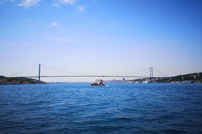 Bosphorus Private 1-Hour Tour on the Boat in Istanbul - What to Expect