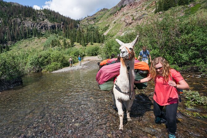 Bridger Teton Llama Treks - Contact Information and Booking Details