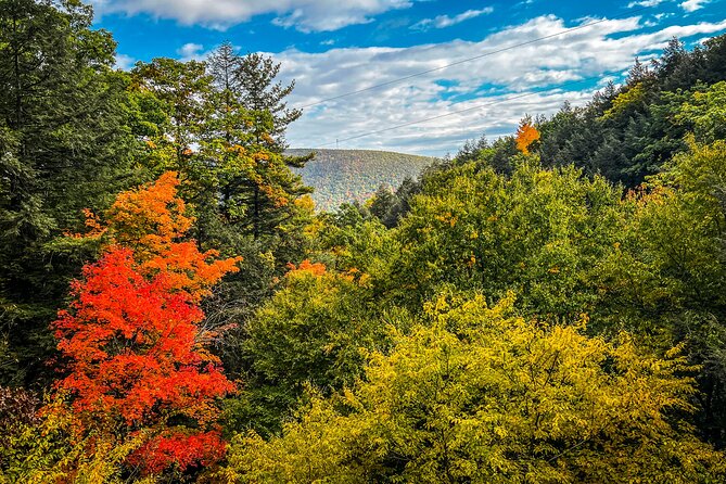 Bristol Mountain Zipline Canopy Activity Review - Health and Safety Considerations