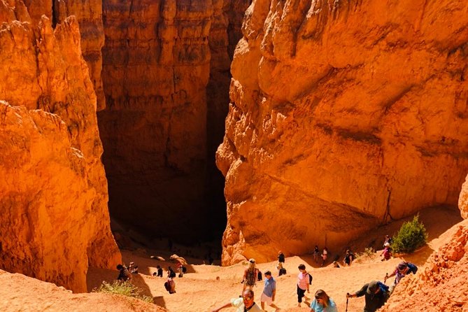 Bryce Canyon & Zion National Parks Day Tour From Las Vegas With Lunch - Lunch and Refreshments