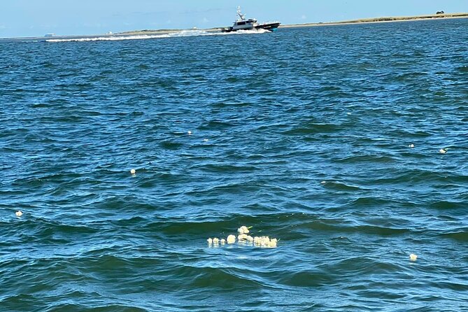 Burial at Sea Celebration of Life Charter Review - Personalized Farewell Ceremony