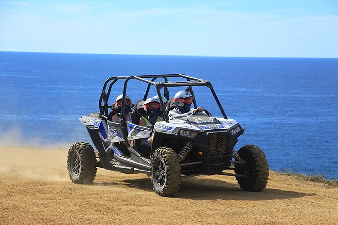 Cactus Combo Combine Two of Your Favorite Desert Tours - Customer Reviews and Ratings