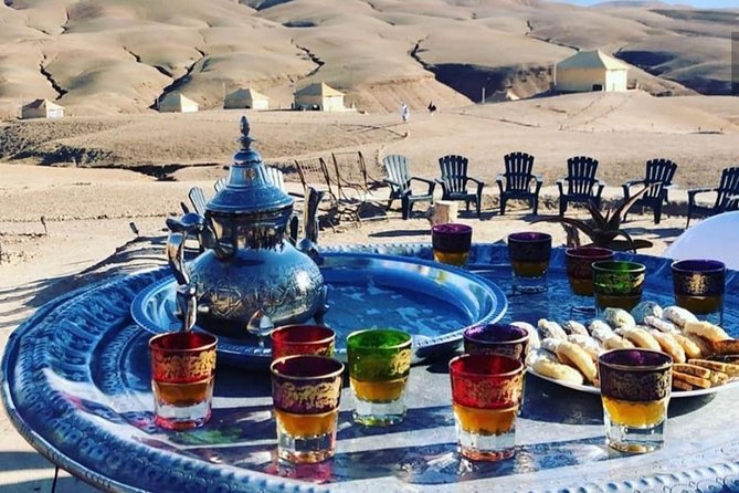 Camel Ride in Agafay Desert - Reviews and Feedback