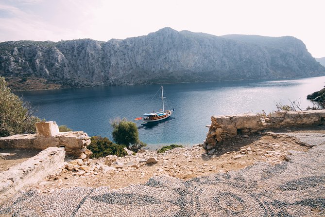 Camellia Island Boat Trip - Accessibility and Suitability