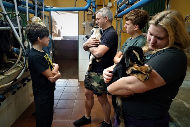 Canarian Animal Farm Car Tour. Goat Cheese and Local Wine. - Local Goat Cheese Delights