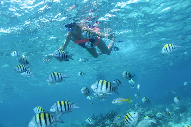 Cancun 4 Hour Private Yacht Experience With Lunch and Open Bar Onboard - Pricing Breakdown