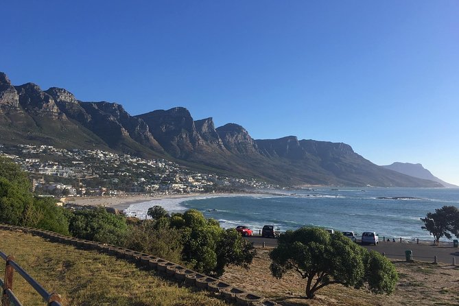Cape Peninsula E-Bike Cycle With Vehicle - Private Tour - Booking Process