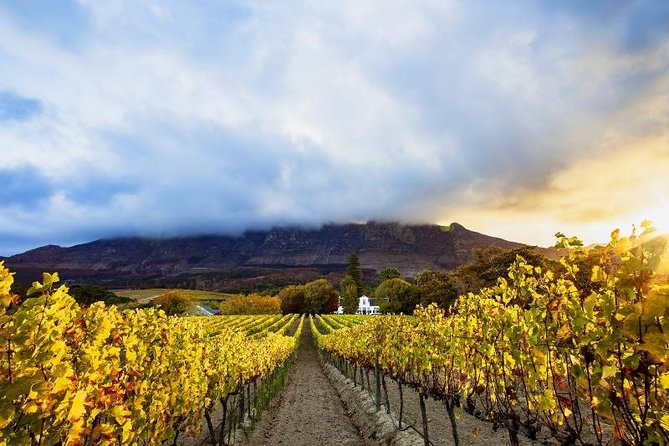 Cape Winelands Guided Day Tour From Cape Town - Inclusions and Exclusions