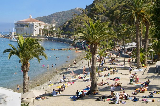Catalina Island Day Trip From Anaheim With Zipline Adventure - Requirements and Restrictions