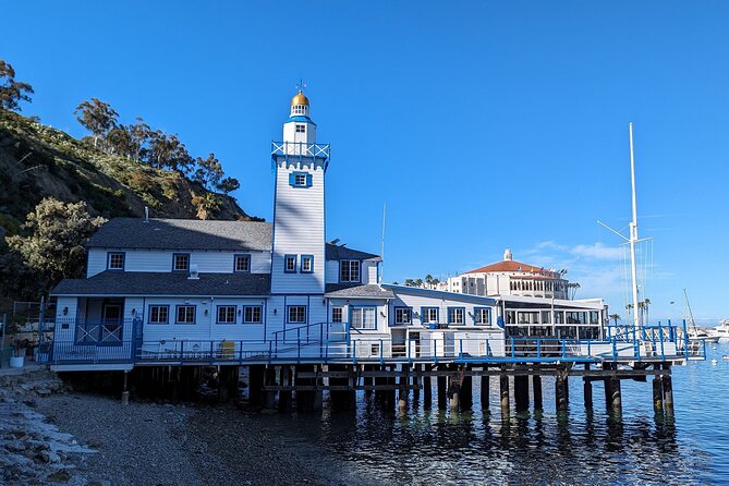 Catalina Scavenger Hunt Walking Tour and Game - Additional Information and Support