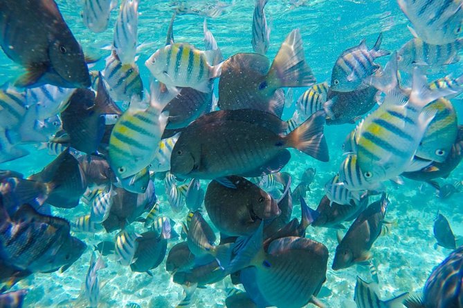 Catamaran Group Sightseeing, Snorkeling Tour Isla Mujeres - Exploring Isla Mujeres