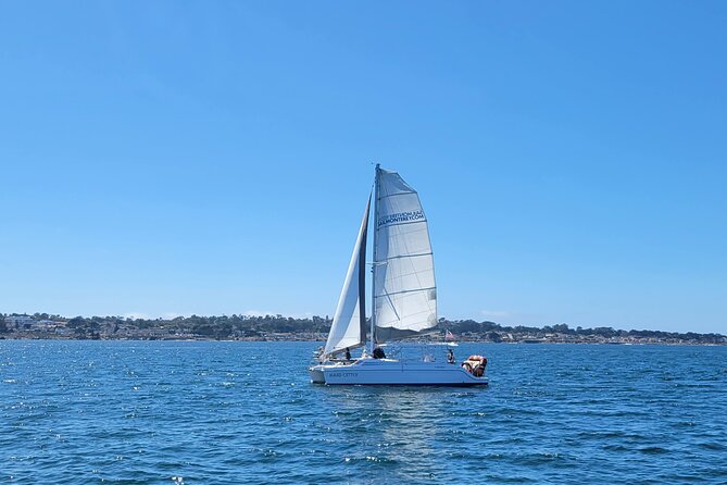 Catamaran Sailing Cruise in Monterey - Enjoying the Scenic Views