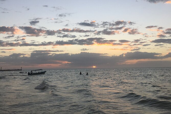 Celestun Mangrove Boat Tour From Mérida - Additional Tips for Travelers