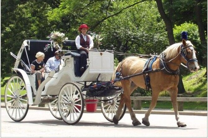 Central Park and NYC Horse Carriage Ride Review - Meeting Point and Accessibility