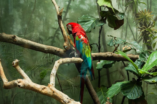 Central Park Zoo Skip-the-line Tickets Review - Highlights of the Central Park Zoo