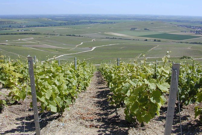 Champagne Enthusiast Custom Planned Overnight Stay & Private Driver - Custom Itinerary Planning