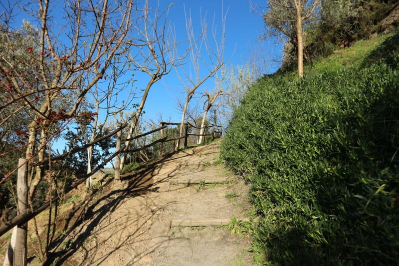 Chania: Nature Road Trip With Botanical Garden and Lunch! - Botanical Park & Gardens