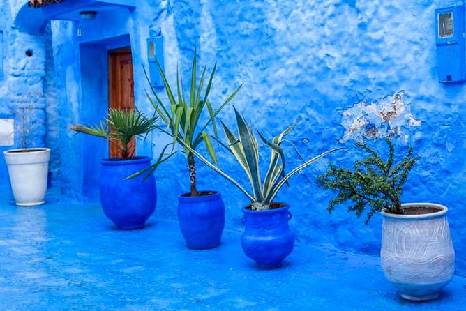 Chefchaouen Day Trip! The Blue Pearl - Pricing and Booking Details