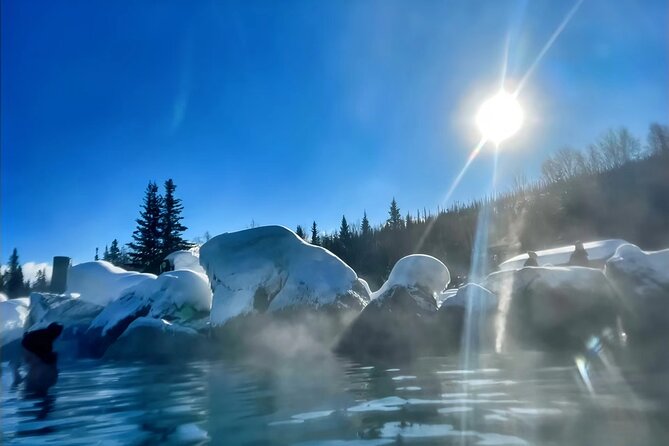 Chena Hot Spring Day Tour - Exploring the Ice Museum