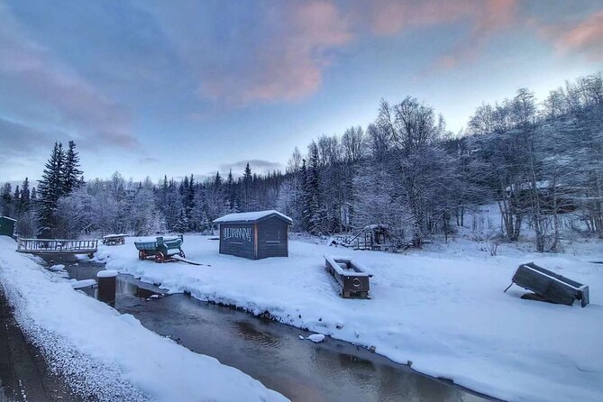 Chena Hot Springs Day Tour Review - Cost Comparison