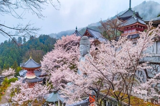 Cherry Blossom Buddha and Mt.Yoshino With Strawberry Picking Tour - Tour Conditions and Important Information