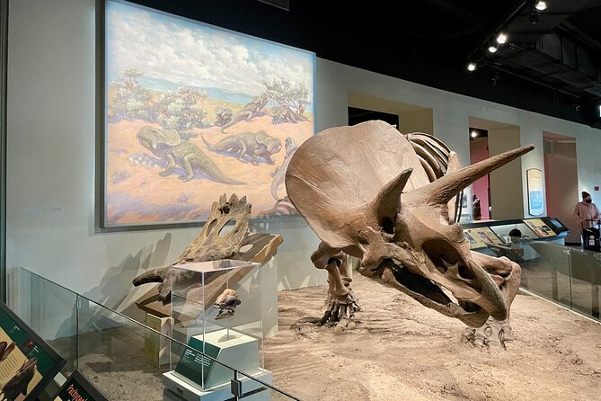Chicago Field Museum of Natural History Semi-Private Guided Tour - Tour Requirements