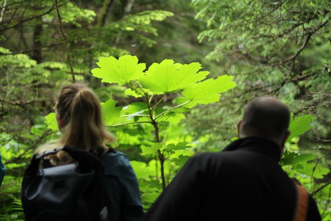 Chilkat Inlet Coastal Hike in Haines - Cancellation Policy and Booking Information