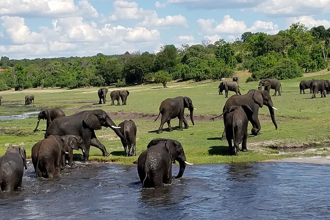 Chobe Day Trip From Livingstone - Frequently Asked Questions
